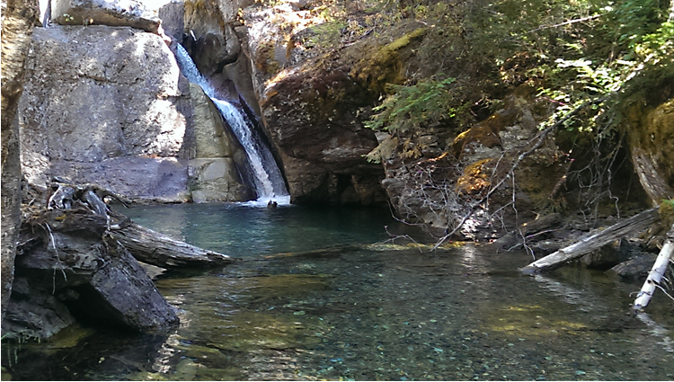 Creek with Small Waterfall